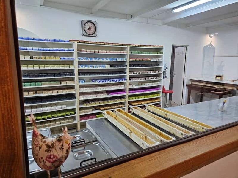 Fuerteventa: Ajuy Pirate Caves & Aloe Factory Half-Day Trip - Final Thoughts