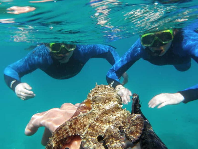 Fuerteventura: 1-hour private mini-cruise to Lobos Island - Practical considerations and tips