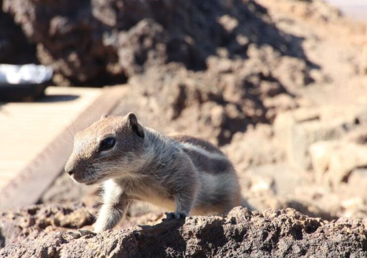 Fuerteventura: 4x4 Off-Road Trip to El Cotillo and La Olivia - Review Summary