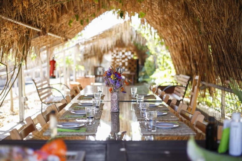 Fuerteventura Aloe & Olivo Tour with Optional Lunch - A Deep Dive into the Fuerteventura Aloe & Olivo Tour