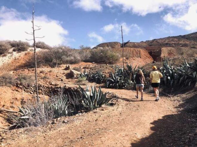 Fuerteventura: Betancuria - Hike, History & Goat Farm - Activity Sequence