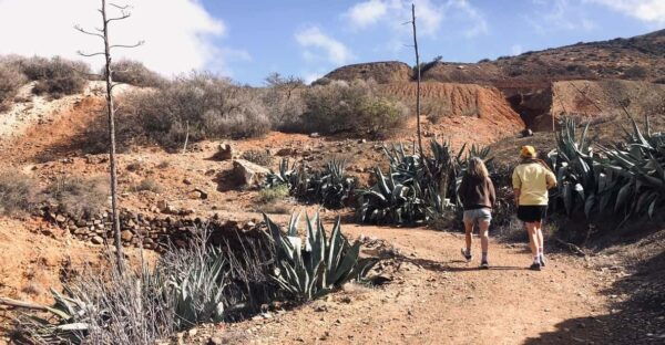 Fuerteventura: Betancuria - Hike, History & Goat Farm - Preparation and Restrictions
