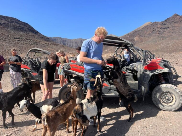 Fuerteventura: Buggy Tour in Punta De Jandía - Customer Feedback