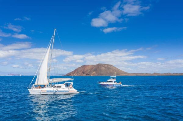 Fuerteventura: Catamaran Excursion to Lobos Island - Customer Feedback and Ratings