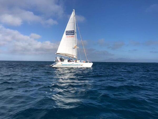 Fuerteventura: Catamaran Excursion to Lobos Island - Additional Details and Considerations