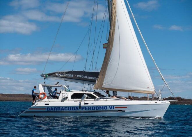 Fuerteventura : Catamaran Excursion to Lobos Island - Excursion Highlights