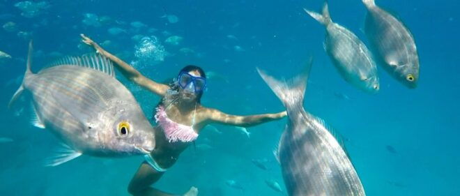 Fuerteventura : Catamaran Excursion to Lobos Island - Booking Information