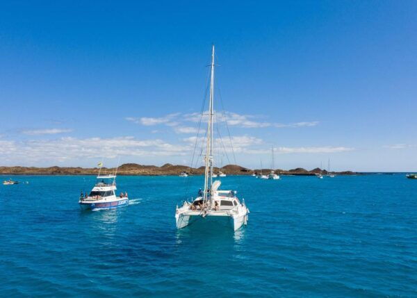 Fuerteventura : Catamaran Excursion to Lobos Island - Inclusions