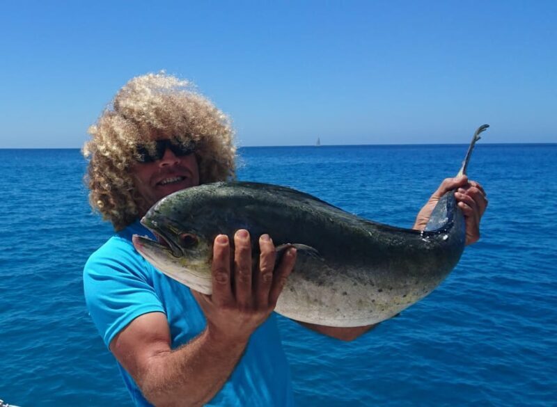 Fuerteventura: Catamarán navegación a vela y delfines. - Who Will Love This Tour?