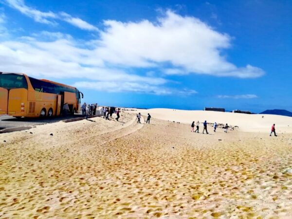 Fuerteventura: Corralejo Sand Dunes for Cruise Passengers - Common Questions