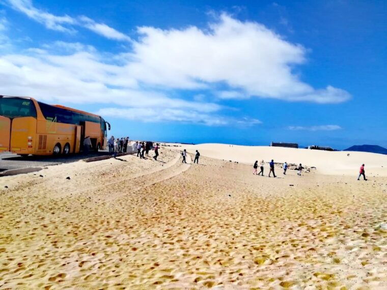 Fuerteventura: Corralejo Sand Dunes Guided Shore Excursion - Exploring the Corralejo Sand Dunes