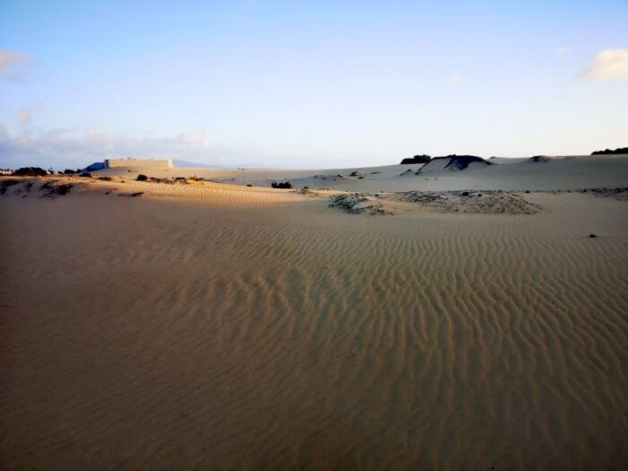 Fuerteventura: Corralejo Sand Dunes Guided Shore Excursion - Customer Feedback and Ratings