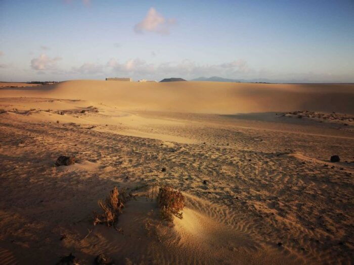 Fuerteventura: Corralejo Sand Dunes Guided Shore Excursion - Frequently Asked Questions