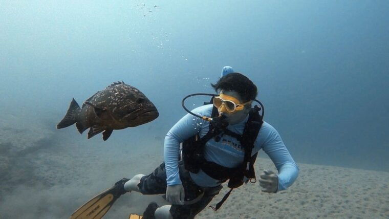 Fuerteventura: Discover Scuba Diving - Itinerary and Locations