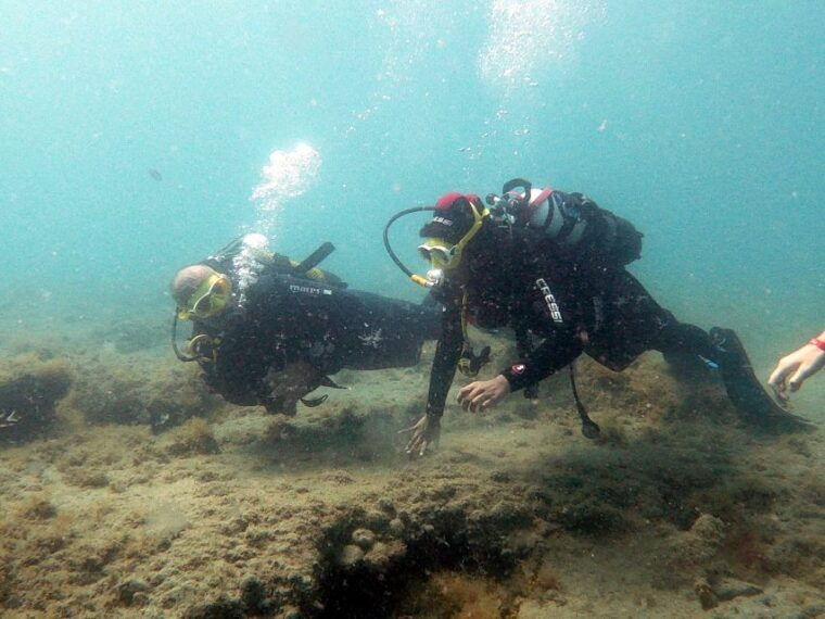Fuerteventura: Discover Scuba Diving - Experience Details