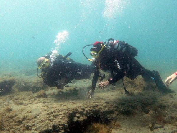 Fuerteventura : Discover Scuba Diving - The Sum Up