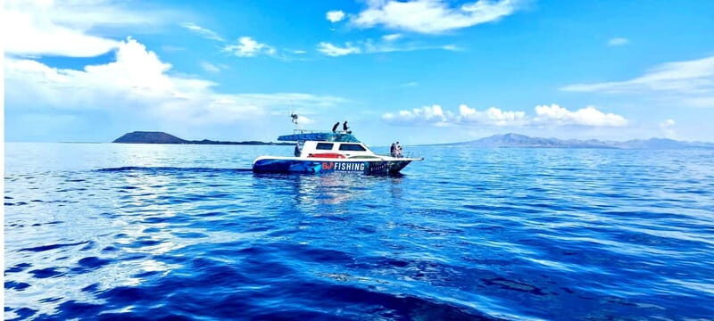 Fuerteventura: Dolphin watching and Lobo Island Combo Cruise - FAQs