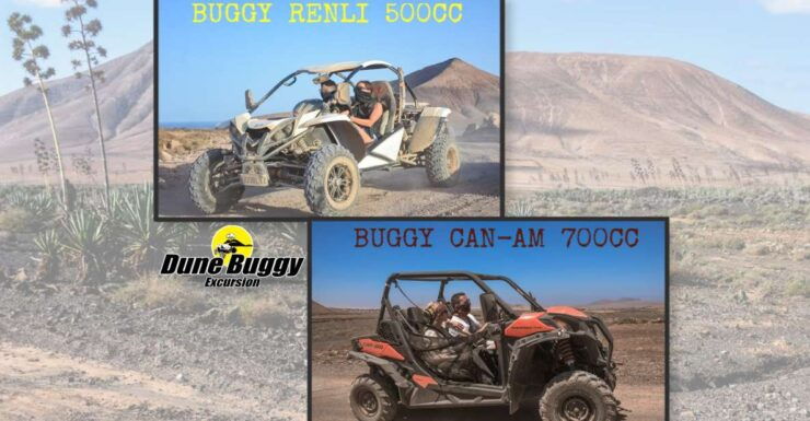 Fuerteventura: Dune Buggy Tour in Northern Fuerteventura - Activity Details