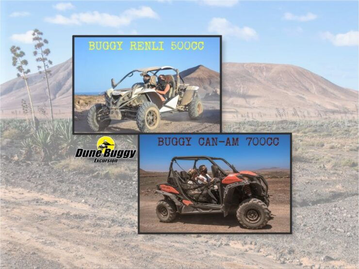 Fuerteventura: Dune Buggy Tour in Northern Fuerteventura - Experience