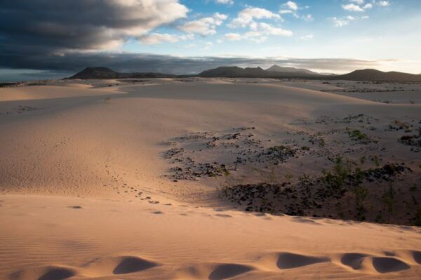 Fuerteventura: Dune Buggy Tour in Northern Fuerteventura - The Sum Up