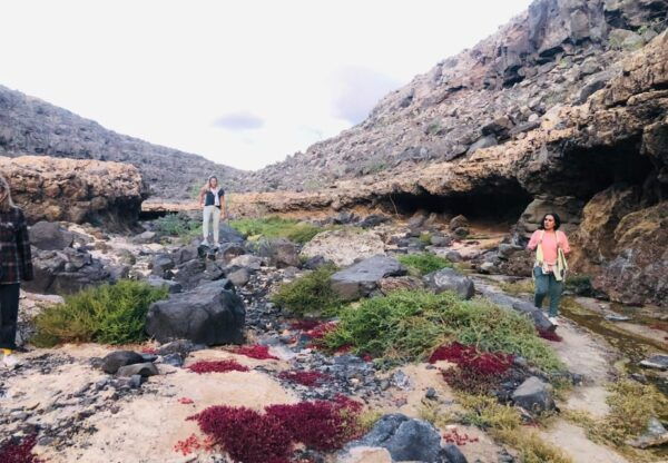 Fuerteventura: Esquinzo Beach, Sunset Walking Tour - Picnic and Sightseeing