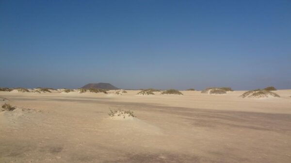 Fuerteventura: Exclusive Private Guided Tour of the North - Important Information and Contact