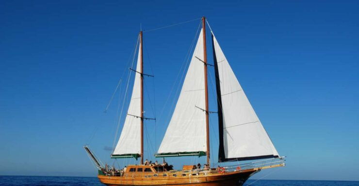 Fuerteventura: Exclusive Turkish Gulet Cruise With Lunch - Experience Highlights