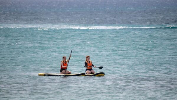 Fuerteventura: Explore Costa Calma Bay on a SUP Board! - Inclusions and Meeting Point