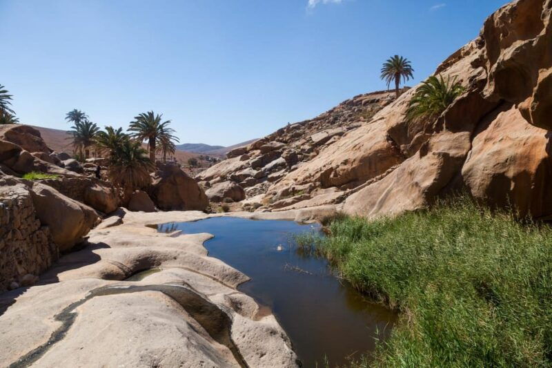 Fuerteventura: Explore the Natural Wonders of the Island - Good To Know