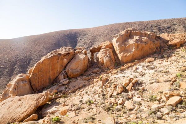 Fuerteventura: Explore the Natural Wonders of the Island - Important Notes