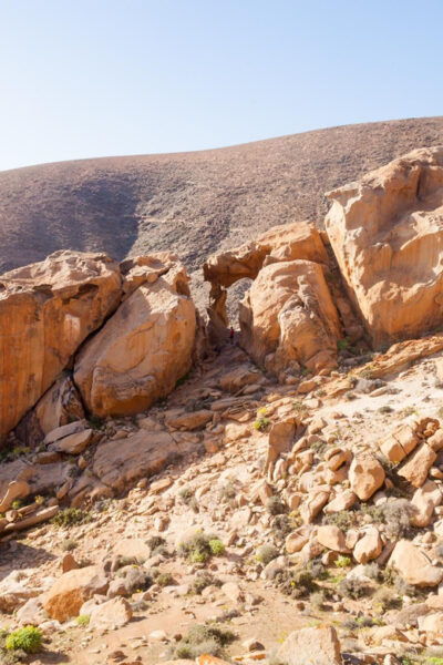 Fuerteventura: Explore the Natural Wonders of the Island - Customer Feedback