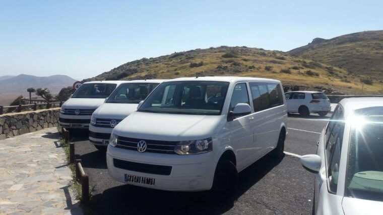 Fuerteventura: Flavors - Visit the Cheese Factory and Taste Majorero Cheese