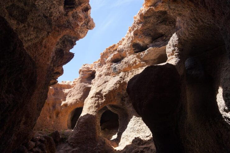 Fuerteventura: Full Day - Explore the Vulcanic North - Good To Know