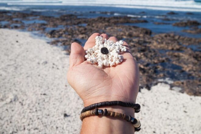 Fuerteventura: Full Day - Explore the Vulcanic North - Popcorn Beach
