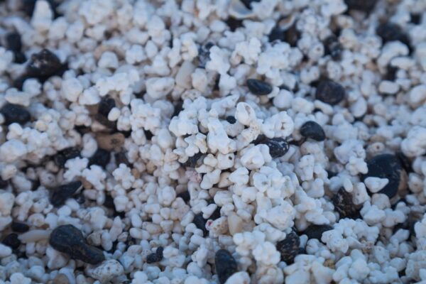 Fuerteventura: Full Day - Explore the Vulcanic North - Calderon Hondo