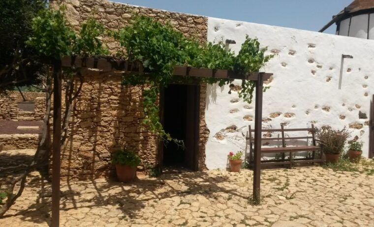 Fuerteventura: Full Day Tour With Lunch - Exploring Characteristic Villages