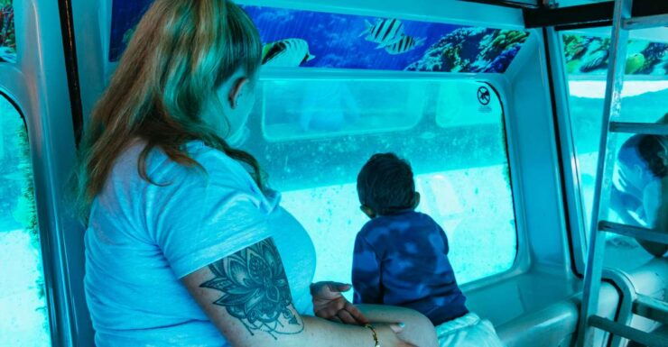 Fuerteventura: Glass Bottom Boat Cruise With Lunch & Drinks - Activity Details