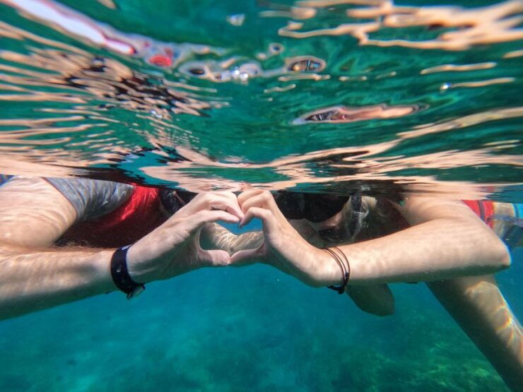 Fuerteventura: Guided Snorkeling in La Lajita With Pickup - Activity Details