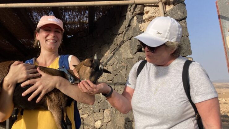 Fuerteventura: Guided Trekking Tour With Island Goats - Activity Details