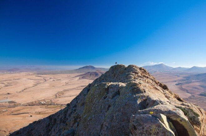 Fuerteventura Highlights Island Tour With Multilingual Guide - Important Information
