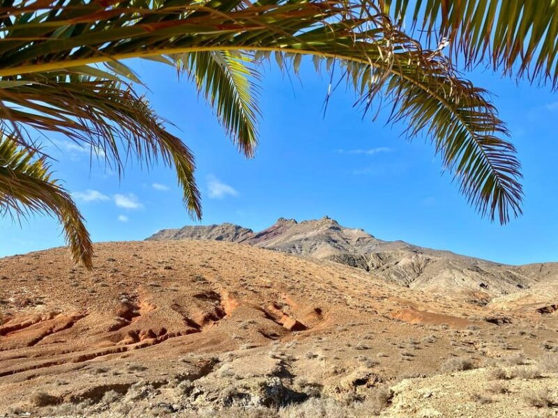 Fuerteventura Hiking up the Holy Mountain El Cardon - Good To Know