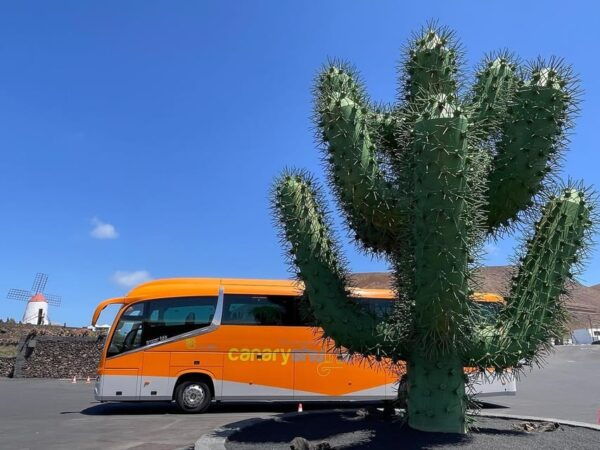 Fuerteventura Island: Bus Service From El Matorral Airport - Frequently Asked Questions