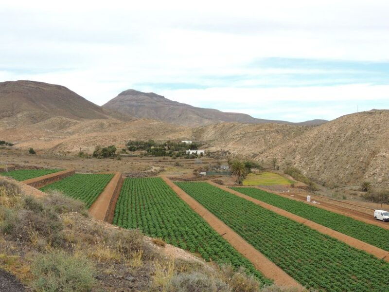 Fuerteventura: Island Highlights Guided VIP Sightseeing Tour - Itinerary Highlights