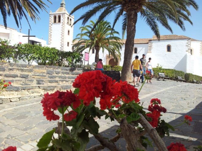 Fuerteventura: Island Tour by Minibus - Transportation and Pick-up Service