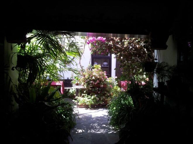 Fuerteventura: Island Tour by Minibus - Customer Reviews and Ratings