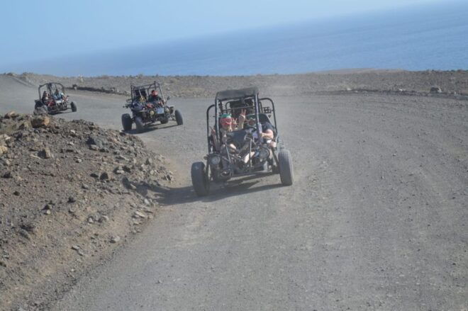 Fuerteventura: Jandía Natural Park & The Puertito Buggy Tour - Activity Description
