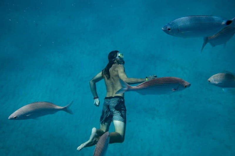 Fuerteventura: Lobos Island Catamaran Cruise with Lunch - Authentic Experiences and What Travelers Say