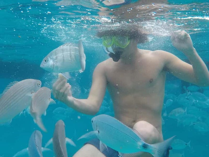 Fuerteventura: Lobos Island Catamaran Cruise with Lunch - The Sum Up: Why You Should Consider This Lobos Island Catamaran Tour