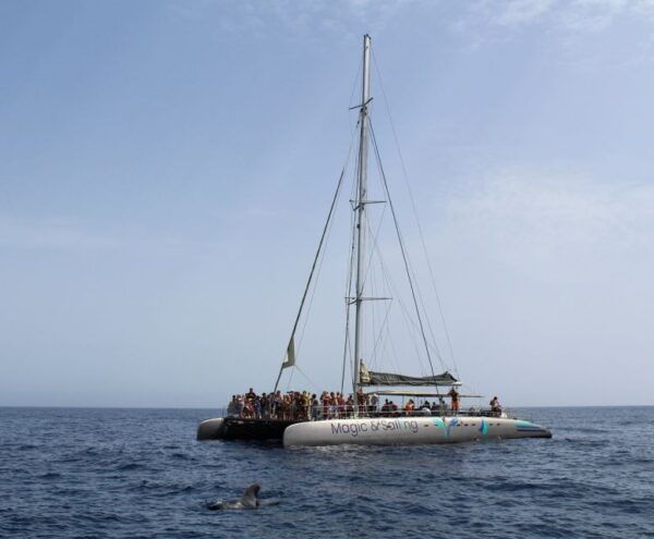 Fuerteventura: Magic Catamaran Trip With Food and Drinks - Common Questions