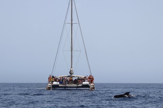 Fuerteventura: Magic Select Catamaran Trip With Food & Drinks - Traveler Photos and Reviews